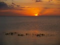Lake Okeechobee Sunset Royalty Free Stock Photo