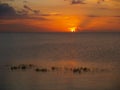 Lake Okeechobee Sunset