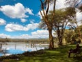 Lake Oloiden In Lake Naivasha Kenya Landscapes East African
