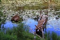 Lake overgrown and dilapidated wharf for boats