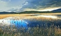 The lake, overgrown with reeds