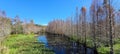 Lake with overgrowth and trees