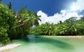 Lake and palms, Mahe island