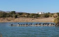 Lake in the park, cormorants resting near the water Royalty Free Stock Photo