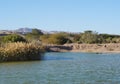 Lake in the park, cormorants resting near the water Royalty Free Stock Photo