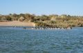 Lake in the park, cormorants resting near the water Royalty Free Stock Photo