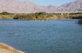 Lake in the park, cormorants resting near the water Royalty Free Stock Photo