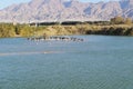 Lake in the park, cormorants resting near the water Royalty Free Stock Photo