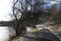 Lake in park with footpath in winter Royalty Free Stock Photo