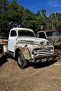 Old grungy Ford truck