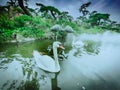 The lake in the park on the outskirts of Beijing Royalty Free Stock Photo