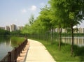 lake in the park, path along, benches and trees, spring or summer. Lovely landscape. City in the distance.