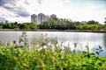 The lake of Parque CentenÃÂ¡rio and the buildings of the city of Mogi das Cruzes