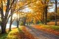 Lake pathway with yellow leaves