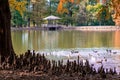 Lake Pavilion, Cypress Knees and Birds on a Lake Royalty Free Stock Photo