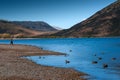 Lake Pearson / Moana Rua Wildlife Refuge located in Craigieburn Forest Park in Canterbury region, South Island of New Zealand