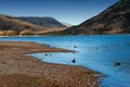 Lake Pearson / Moana Rua Wildlife Refuge located in Craigieburn Forest Park in Canterbury region, South Island of New Zealand Royalty Free Stock Photo