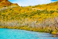 Lake Pehoe, Torres del Paine National Park, Patagonia, Chile, South America. Copy space for text Royalty Free Stock Photo