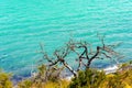 Lake Pehoe, Torres del Paine National Park, Patagonia, Chile, South America. Copy space for text Royalty Free Stock Photo