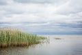 Lake Peipus in Eastern Estonia