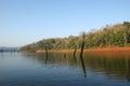 Lake, Periyar National Park, Kerala, India