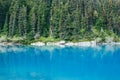 Lake and pine trees view