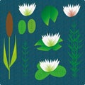 Lake plants set illustration