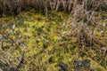 Lake polluted with garbage and bottles