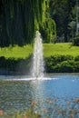 Lake or pond spout spraying water vertically in air with trees and water with shrubs and grass in afternoon light Royalty Free Stock Photo