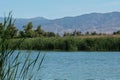 Lake at Prado Regional Park, Chino Hills, San Bernardino