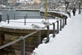 Lake Promenade in the winter Bregenz