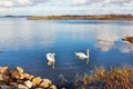 Lake Pskov is a large freshwater lake