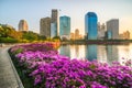 Lake with Purple Flowers in City Park under Skyscrapers at Sunrise Royalty Free Stock Photo