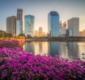 Lake with Purple Flowers in City Park under Skyscrapers at Sunrise Royalty Free Stock Photo