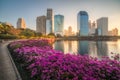 Lake with Purple Flowers in City Park under Skyscrapers at Sunrise Royalty Free Stock Photo