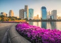 Lake with Purple Flowers in City Park under Skyscrapers at Sunrise Royalty Free Stock Photo
