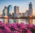 Lake with Purple Flowers in City Park under Skyscrapers at Sunrise Royalty Free Stock Photo