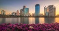 Lake with Purple Flowers in City Park under Skyscrapers at Sunrise Royalty Free Stock Photo