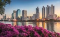 Lake with Purple Flowers in City Park under Skyscrapers at Sunrise Royalty Free Stock Photo