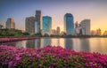 Lake with Purple Flowers in City Park under Skyscrapers at Sunrise Royalty Free Stock Photo