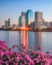 Lake with Purple Flowers in City Park under Skyscrapers at Sunrise Royalty Free Stock Photo