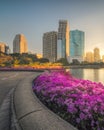 Lake with Purple Flowers in City Park under Skyscrapers at Sunrise Royalty Free Stock Photo