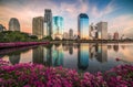 Lake with Purple Flowers in City Park under Skyscrapers at Sunset Royalty Free Stock Photo