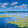 Lake Quannapowitt in Wakefield near Boston Royalty Free Stock Photo