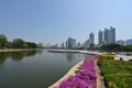 Lake Ratchada at Benjakitti Park and helipad, with residential buildings along Ratchadaphisek Road on right, Bangkok, Thailand Royalty Free Stock Photo