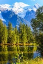 The lake reflected the evergreen spruce