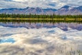 Lake reflection along the Denali Highway in Alaska Royalty Free Stock Photo