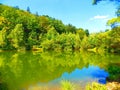 Lake with reflection and deciduous forest Royalty Free Stock Photo