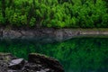 Lake with reflection of forest Royalty Free Stock Photo