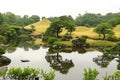 Lake with reflection in Suizenji garden Royalty Free Stock Photo